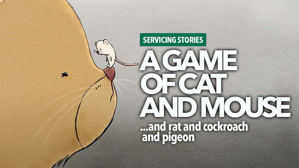 a game of cat and mouse tactical environmental 2 a game of cat and mouse tactical environmental 2